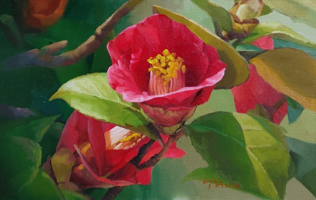 c4a5205a940c20e8810ad3d9d4f55c0b_1772777779_6504.jpg c4a5205a940c20e8810ad3d9d4f55c0b_1772777779_6504.jpg