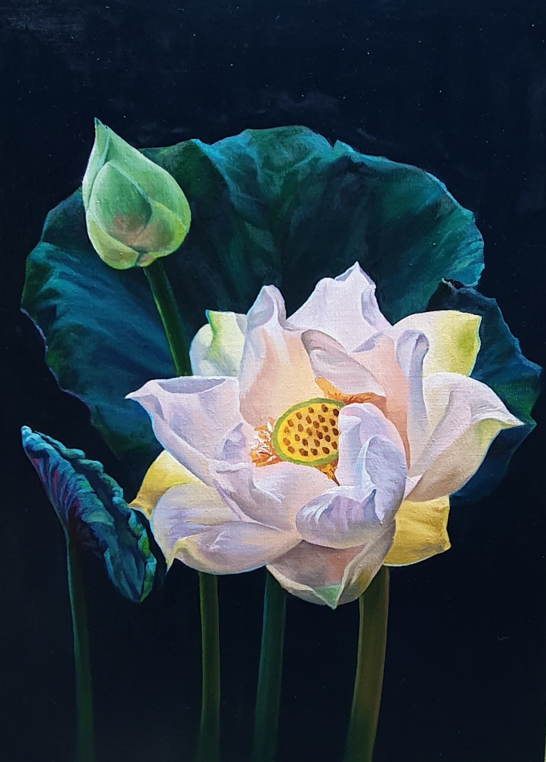 c4a5205a940c20e8810ad3d9d4f55c0b_1772779647_497.jpg c4a5205a940c20e8810ad3d9d4f55c0b_1772779647_497.jpg