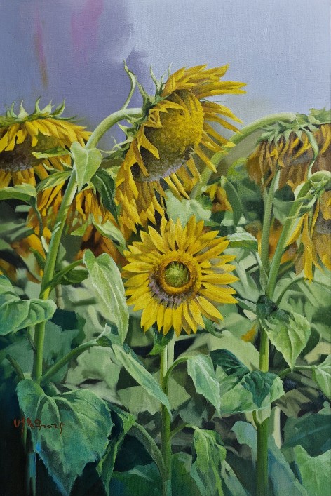 c4a5205a940c20e8810ad3d9d4f55c0b_1772779850_928.jpg c4a5205a940c20e8810ad3d9d4f55c0b_1772779850_928.jpg