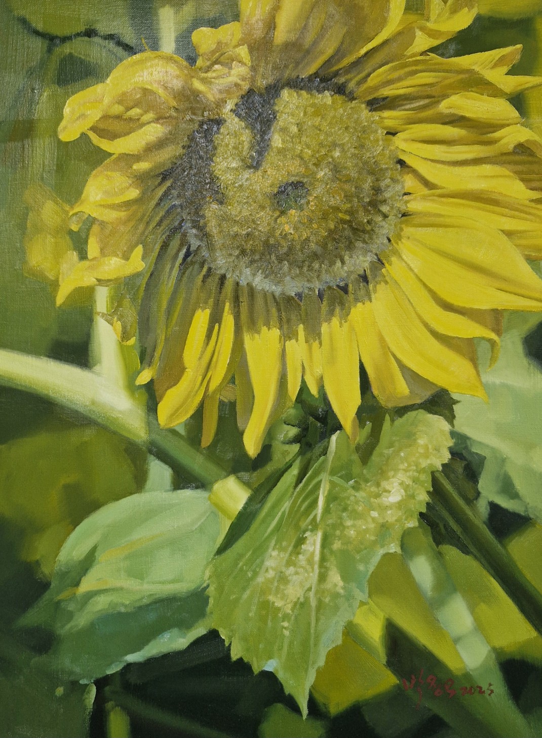 c4a5205a940c20e8810ad3d9d4f55c0b_1772779850_9731.jpg c4a5205a940c20e8810ad3d9d4f55c0b_1772779850_9731.jpg